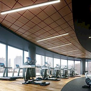 Goose Sistem – Akustik Yarı Gizli Taşıyıcılı Sistem