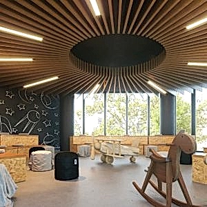 Akustik Camyünü Paneller