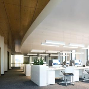 Peacock Sistem – Akustik Yarı Gizli Taşıyıcılı Sistem